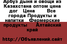 Арбуз,дыня и овощи из Казахстана оптом цена дог › Цена ­ 1 - Все города Продукты и напитки » Фермерские продукты   . Алтайский край